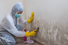 Best Emergency Mold Remediation  in Southgate, MI